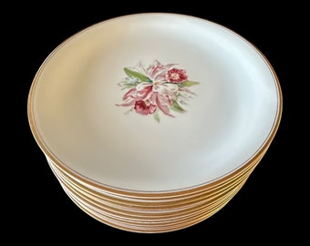 Noritake ノリタケ　ディナープレート 皿 10枚セット N19 by Noritake ディナープレート 12枚セット 10 3/8インチ