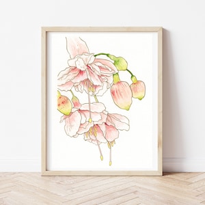 Print pink flowers of peonies, plant printing, botanical illustration, watercolor illustration, picture, wall decoration, watercolor
