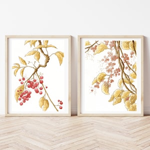 Bayas rosadas, establecer dos impresiones con bayas de acuarela de otoño, flores y plantas, ilustraciones de decoraciones de pared de temática botánica