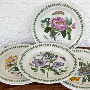 Set aus 6 Portmeirion-Esstellern, The Botanic Garden von Susan Williams-Ellis, hergestellt in England, eingestellte Blumen, Mismatch-Teller, 1972