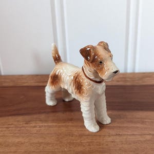 ヴィンテージの茶色と白のエアデールまたはワイヤーフォックステリア犬