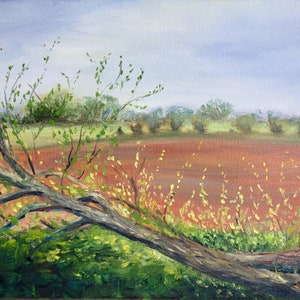 Original plein air landscape oil painting, Modern woodland landscape, Impressionist art - Spring Arrives by Becky Clifton