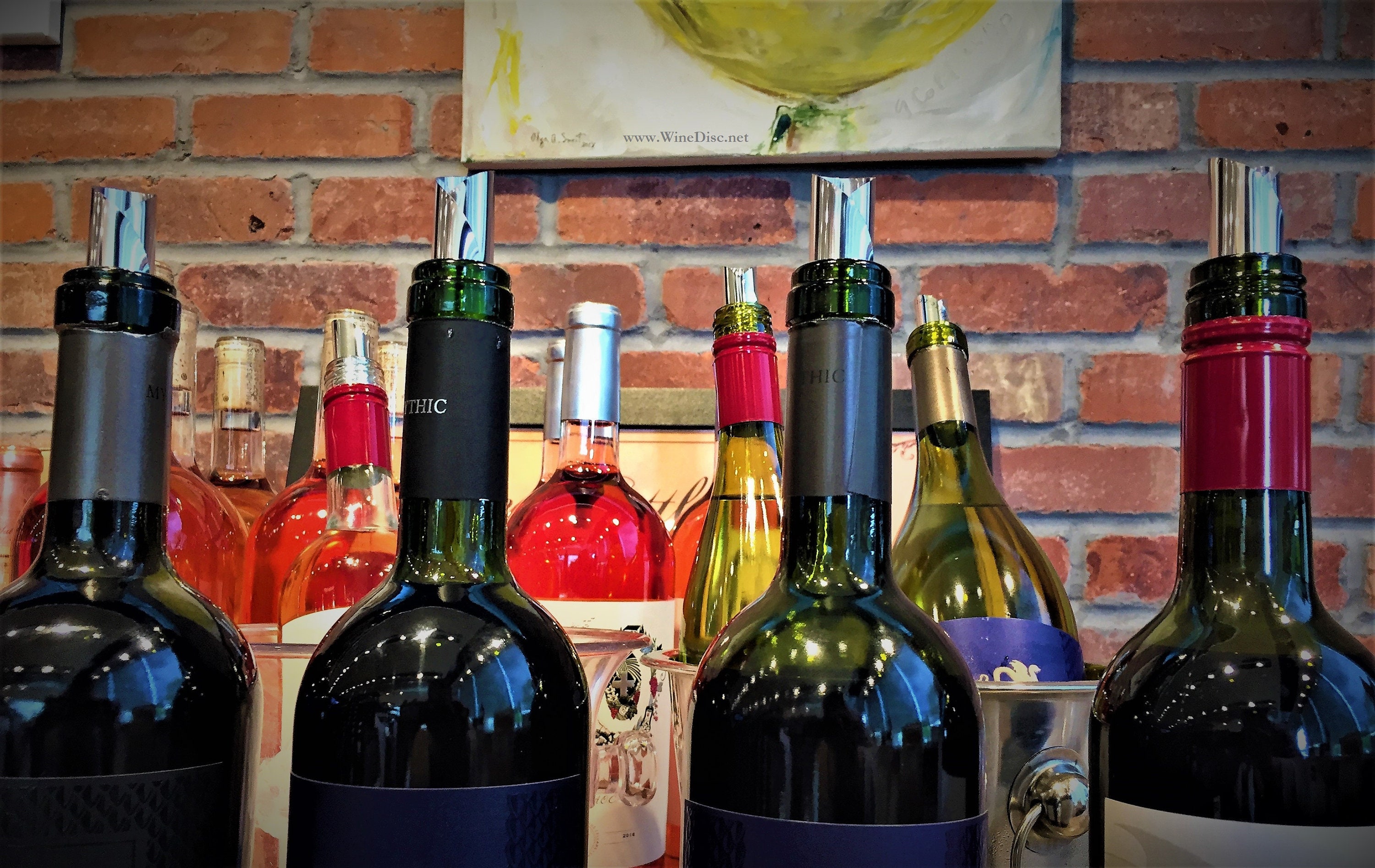 Custom Printed Wine Disc Flexible Pourers Etsy