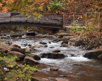 Creekside  Photograph by Before the Blur Artistry