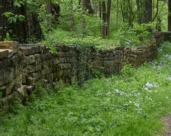 Peace in the Forest Wall Photograph by Before the Blur Artistry