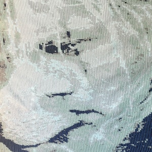 May include: Textured fabric featuring a lion's face design. The artwork depicts a lion's face profile in white, grey, and blue hues, with darker blue accents. The fabric has a ribbed texture.