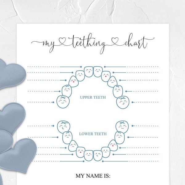 Instant Download Teething Chart For Kid, Baby Tooth Chart, Keepsake, Memento, Baby Book Insert, Tooth Eruption Chart, My First Tooth PDF JPG