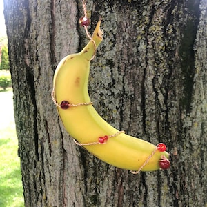 Originele vlinderbananenvoeder