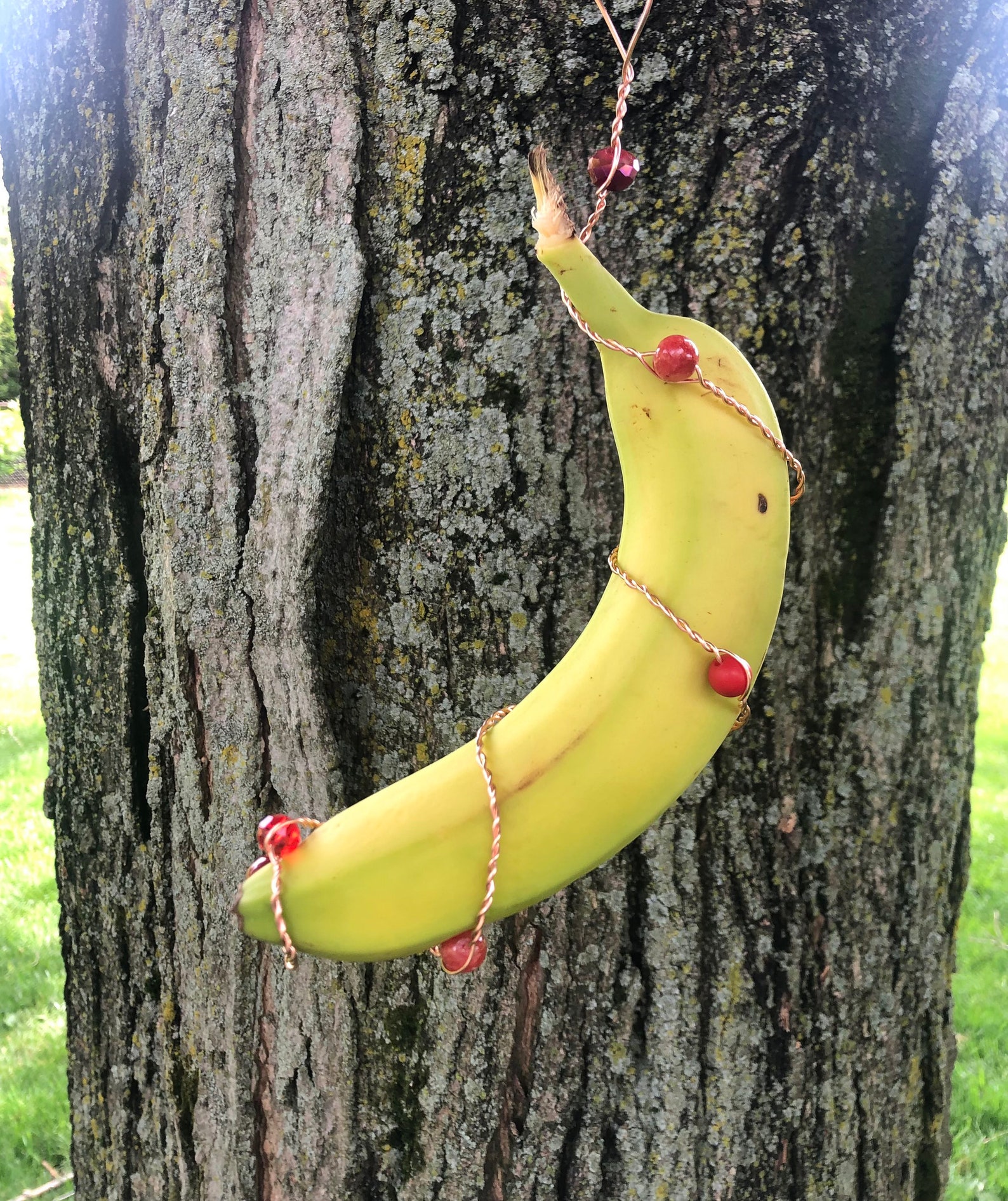 Monarch Butterfly Banana Feeder Etsy