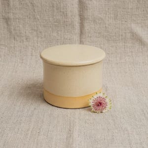 Op de afbeelding: Een cilindrische keramische boterpot met een glad, crèmekleurig deksel en bovenlichaam met subtiele donkere spikkels, gecontrasteerd door een effen, ongeglazuurde lichtoranje basis. Een kleine, meerbladige witte en paarse bloem ligt naast de pot.