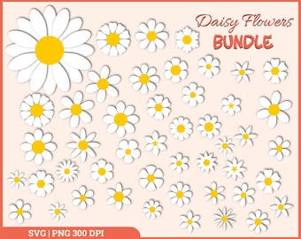 Daisy SVG Bundle, Daisy Flower Svg, Retro Daisy Flower, White Daisy Svg, Daisy for embroidery, Svg Cut file,Png Sublimation,Instant Download