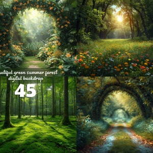 Schöner grüner Sommerwald digitaler Hintergrund, Frühlingshintergrund, Gras, Bäume mit einem natürlichen Weg für kreative zusammengesetzte Bilder, Schmetterling
