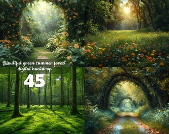 Hermoso fondo digital de bosque verde de verano, fondo de primavera, hierba, árboles con un camino natural para imágenes compuestas creativas, mariposa