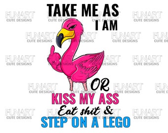 Sassy Flamingo PNG File: Middle Finger Design (Digital Download)