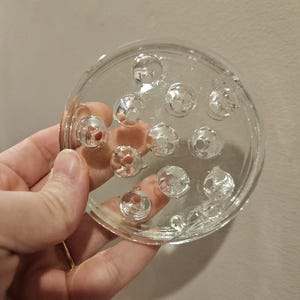 Schöner klarer Glasblumenfrosch
