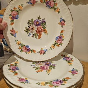 Gorgeous Swinnertons Luxor Vellum Dinner Plates (4), Staffordshire England