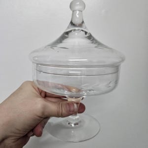 Può includere: Un portaconfetti in vetro trasparente con un coperchio a cupola e una base a piedistallo. Il portaconfetti ha un delicato design inciso.