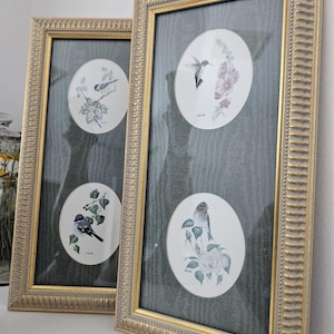 Pair of pretty framed vintage bird prints