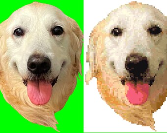 Pet To Cross Stitch - Pattern and Kit Available (Kit Version)