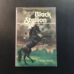Son of the Black Stallion Walter Farley 1975 Paperback Horse Story Adventure 画像 9