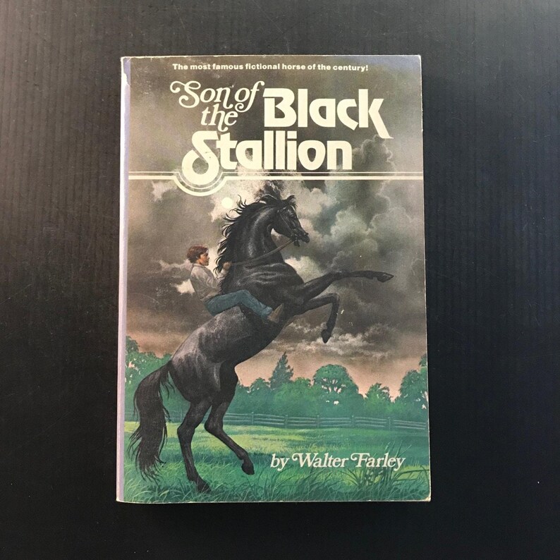 Son of the Black Stallion Walter Farley 1975 Paperback Horse Story Adventure 画像 9
