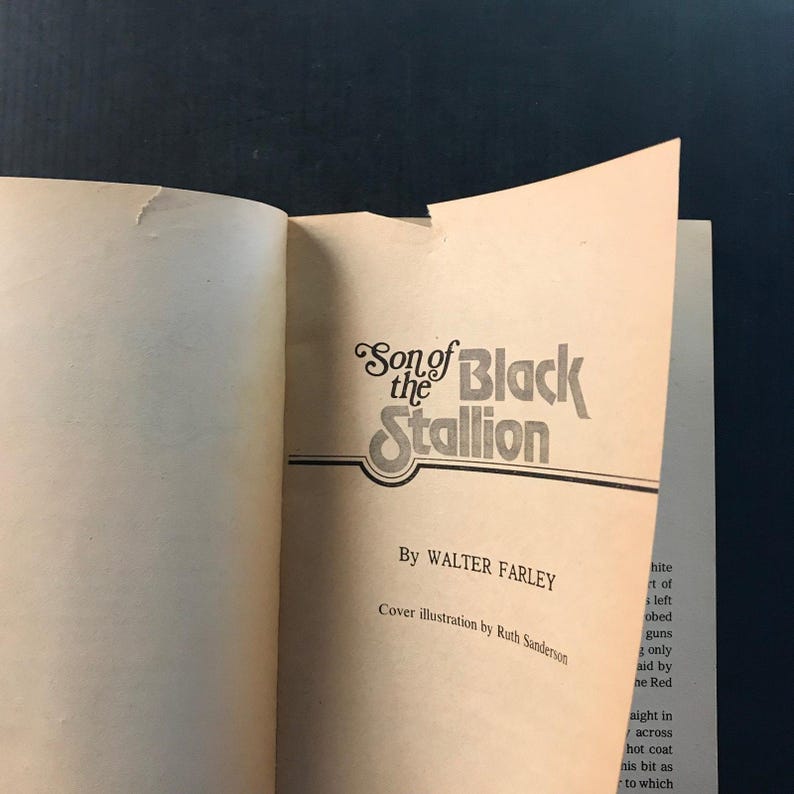 Son of the Black Stallion Walter Farley 1975 Paperback Horse Story Adventure 画像 12