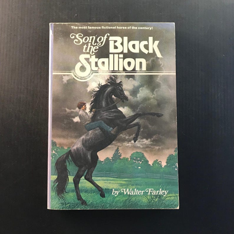 Son of the Black Stallion Walter Farley 1975 Paperback Horse Story Adventure 画像 1