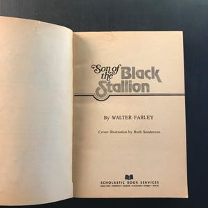 Son of the Black Stallion Walter Farley 1975 Paperback Horse Story Adventure 画像 13