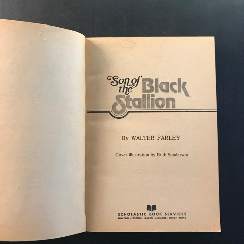 Son of the Black Stallion Walter Farley 1975 Paperback Horse Story Adventure 画像 13