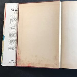 The Black Magician R. T. M. Scott 1943 Triangle Books Pulp Fiction Thriller image 7