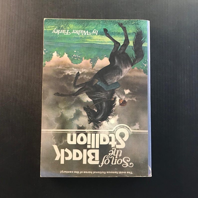 Son of the Black Stallion Walter Farley 1975 Paperback Horse Story Adventure 画像 4