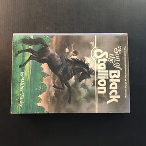 Son of the Black Stallion Walter Farley 1975 Paperback Horse Story Adventure 画像 3