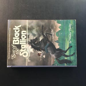 Son of the Black Stallion Walter Farley 1975 Paperback Horse Story Adventure 画像 5