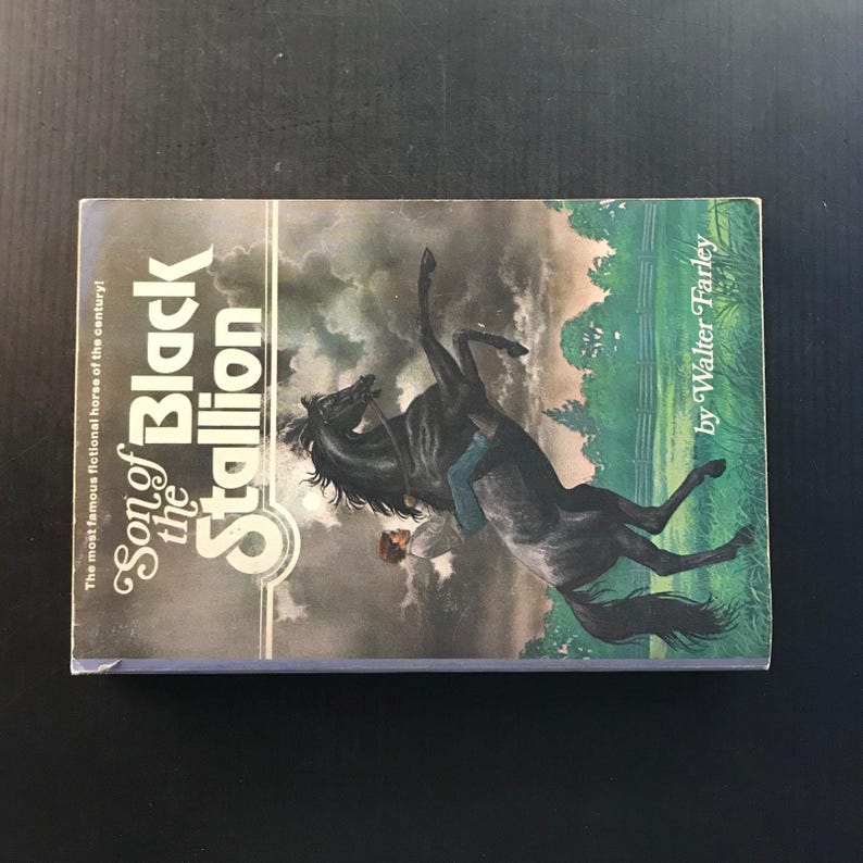 Son of the Black Stallion Walter Farley 1975 Paperback Horse Story Adventure 画像 5