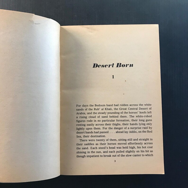 Son of the Black Stallion Walter Farley 1975 Paperback Horse Story Adventure 画像 10