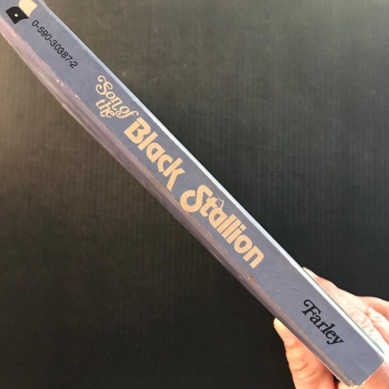 Son of the Black Stallion Walter Farley 1975 Paperback Horse Story Adventure 画像 8
