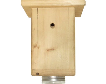 Original B Brothers-Carpenter Bee Trap