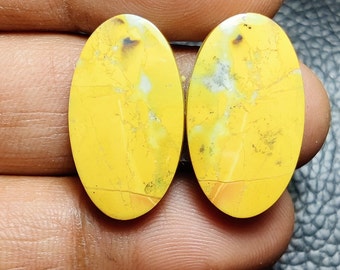 Malingana Jasper gemstone Jasper Gemstone Pair, Mix Shape Natural