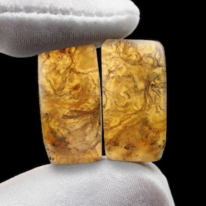 May include: Two rectangular polished gemstones featuring a translucent golden-yellow base color with intricate, dark brown dendritic inclusions that resemble delicate, branching fern-like patterns spread throughout the smooth stone surfaces.