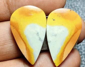 Malingana Jasper gemstone Jasper Gemstone Pair, Mix Shape Natural