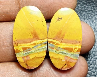 Malingana Jasper gemstone Jasper Gemstone Pair, Mix Shape Natural