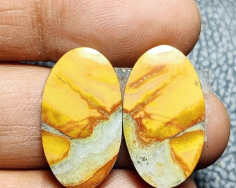 Malingana Jasper gemstone Jasper Gemstone Pair, Mix Shape Natural