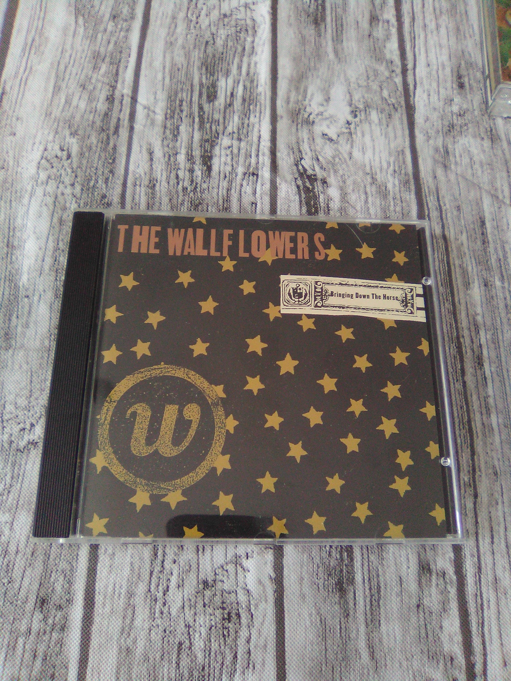 The Wallflowers Bringing Down the Horse 1996 Alternative Etsy