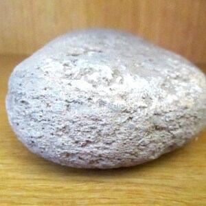 Puede incluir: Una piedra gris lisa con una superficie texturizada. La piedra tiene forma ovalada y parece desgastada. Es un artículo natural, probablemente utilizado para decoración o artesanía.