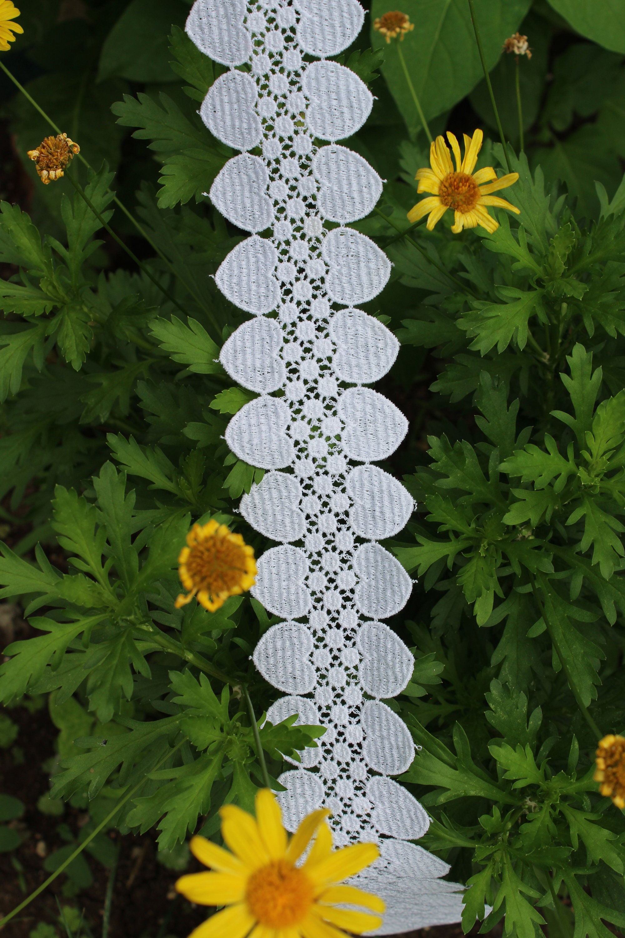 2 1/4 White Double Edge Heart Trim With Lace Like Polka Dots in the