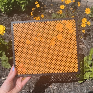 Corkless Multi Color Rectangle Pinboard (Multiple Sizes)