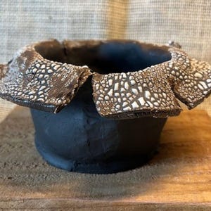 Organic Handmade Flare Rim Obsidian Pot for Cactus, Succulent, Caudex (37.4)