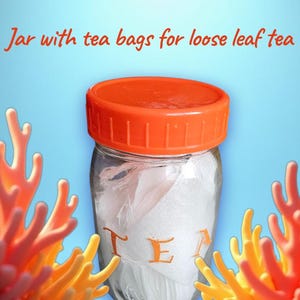 Glass Jar with Cloth Tea Bags: Loose Leaf Tea Storage