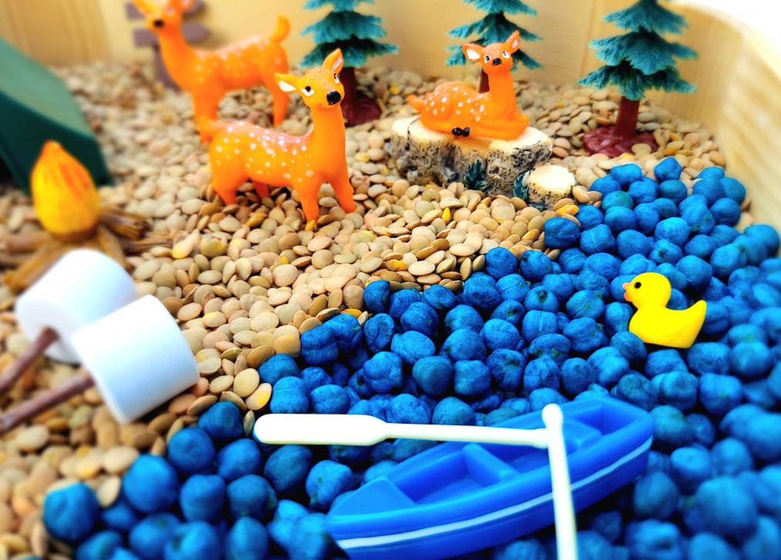 Sensory Bin, Camping Sensory Bin, Sensory Kit, Sensory Kit for Kids