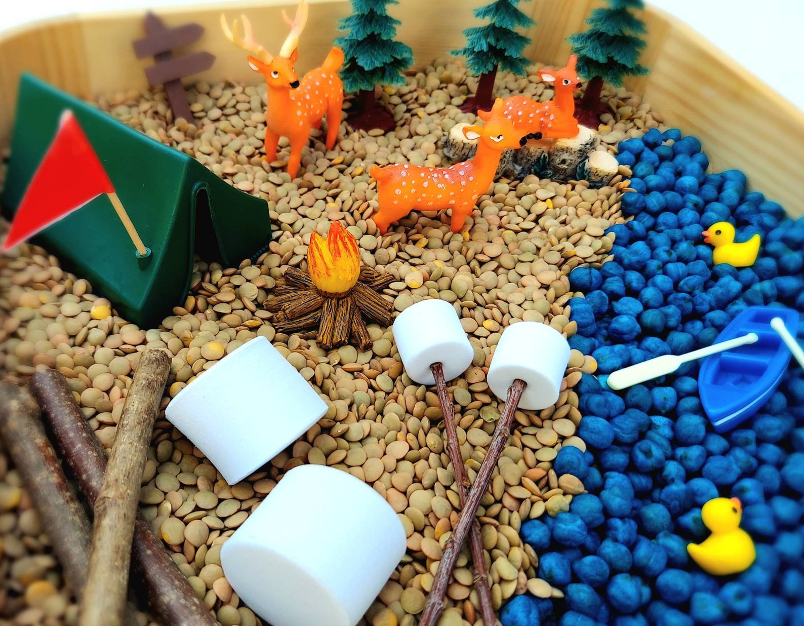 Sensory Bin, Camping Sensory Bin, Sensory Kit, Sensory Kit for Kids